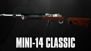 Insurgency AC556/MINI-14