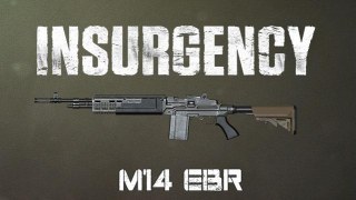 Insurgency M14 EBR