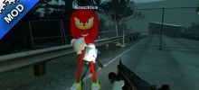 Knuckles the Echidna (Coach)