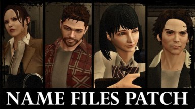 L4D2A Arcade Name Files Patch
