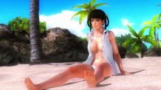 LeiFang from Dead or Alive 5 last round (ellis)