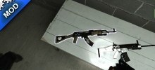 Leona's AK 47