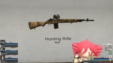 M14 Black Hawk Down (Hunting Rifle)