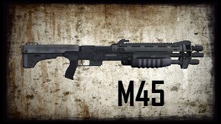 M45 Tactical Shotgun (REACH)