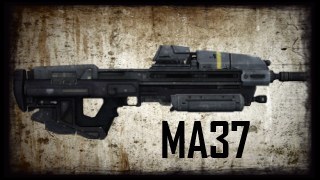 MA37 Assault Rifle (REACH) M-16