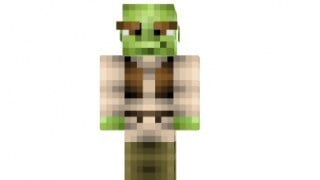 Minecraft Shrek skin! (Coach)