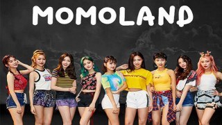 Momoland Concert (Concert songs and Posters) K-POP ver