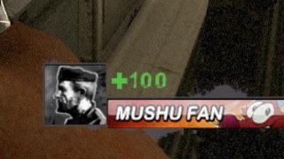 mushu fan healthbars