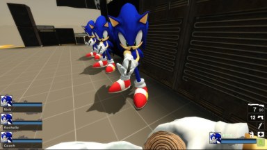 Only Akaneia sonic (request)