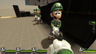 Only Luigi Survivor (request)