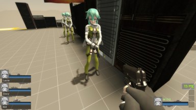 Only SAO2 Sinon Zoey (request)