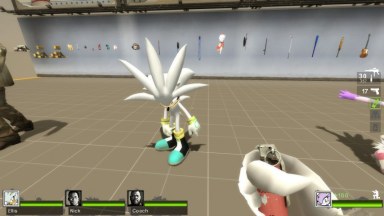 Only Silver The Hedgehog (request)