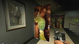 parakeet door