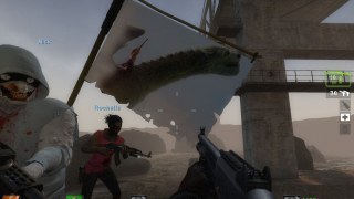 petes dragon flag