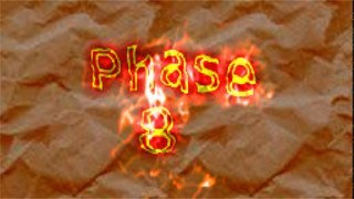 Phase 8