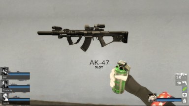 QBZ-191-CQ (AKM) [request]