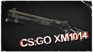 QUERENTIN's CSGO XM1014