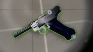 Raw Lugars (Dual Pistols)