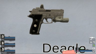 Ready Or Not P229 (Magnum) (request)