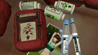 Resident Evil health items