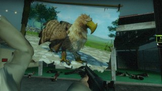 riders of icarus striped scalleda flag