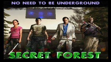 Secret Forest