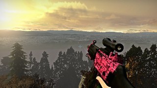 SG552 Pink Camo