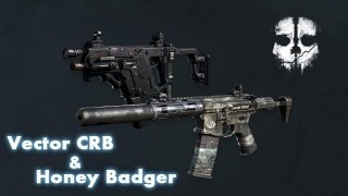 COD:GHOSTS Vector CRB & Honey Badger(UZI & Mac10)