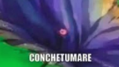 SONIDO CONCHTUMARE AL CAER