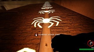 Spider Infected Ghost Ladder