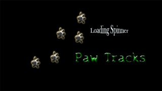 Spinner - Paw Tracks
