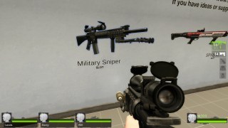 SR-25 (Military Sniper Rifle)