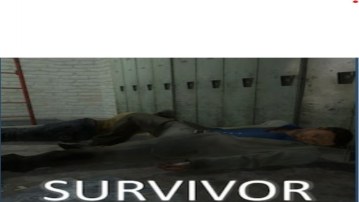 SURVIVORS RAGDOLL UPDATED