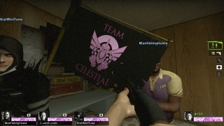 team celestial flag
