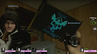 team harmony flag