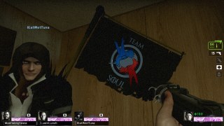 team soul flag