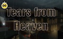 Tears from Heaven