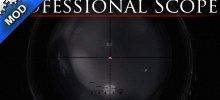 The Professional Scope