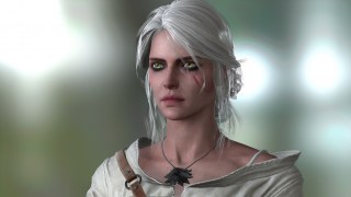 The Witcher 3 Cirilla(Rochelle)