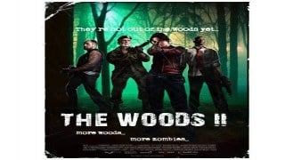 The Woods 2 Fixed