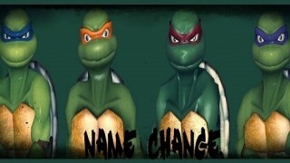 TMNT Survivors (Name Change)