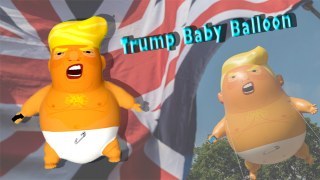 Trump Baby Balloon