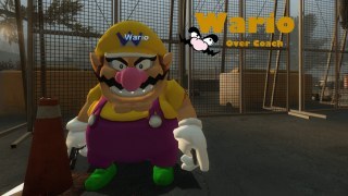 Wario Over Coach