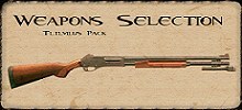 Weapons Selection Pack