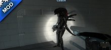 Xenomorph (Coach)