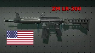 Z-M LR 300 (M16A2)