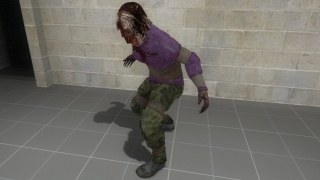 Zetnus's Female Hunter