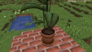 CSS Potted Plant