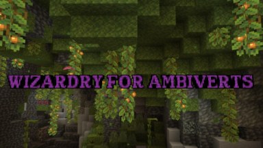 Wizardry for ambiverts