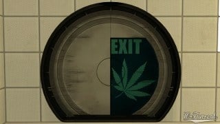 Cannabis Door